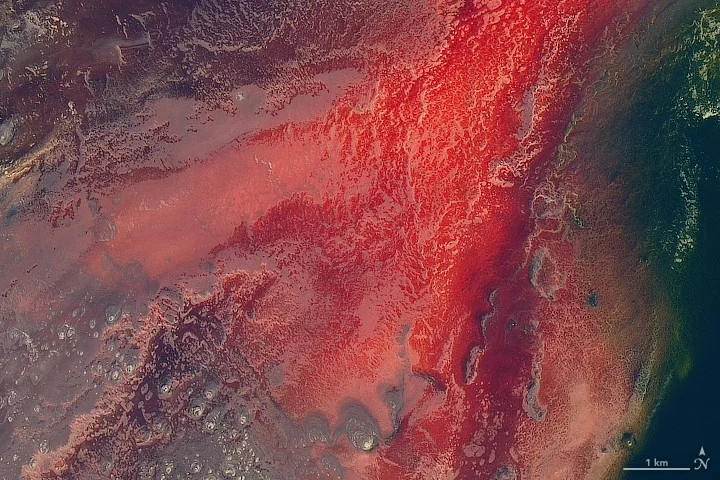 Jezioro Natron w Tanzanii. Obraz Landsat 8 w barwach naturalnych, 6 marca 2017 r.